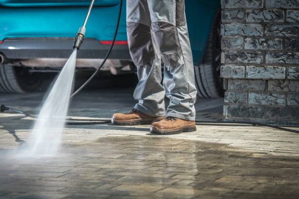Best Soft Washing  in Nevada, MO