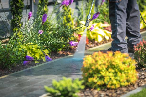 Reliable Nevada, MO Pressure Washing Services Solutions